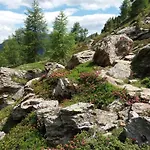 Apartment Rudigier Margret Und Franz Sankt Gallenkirch