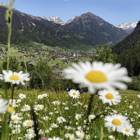 Rudigier Margret Und Franz Daire Sankt Gallenkirch